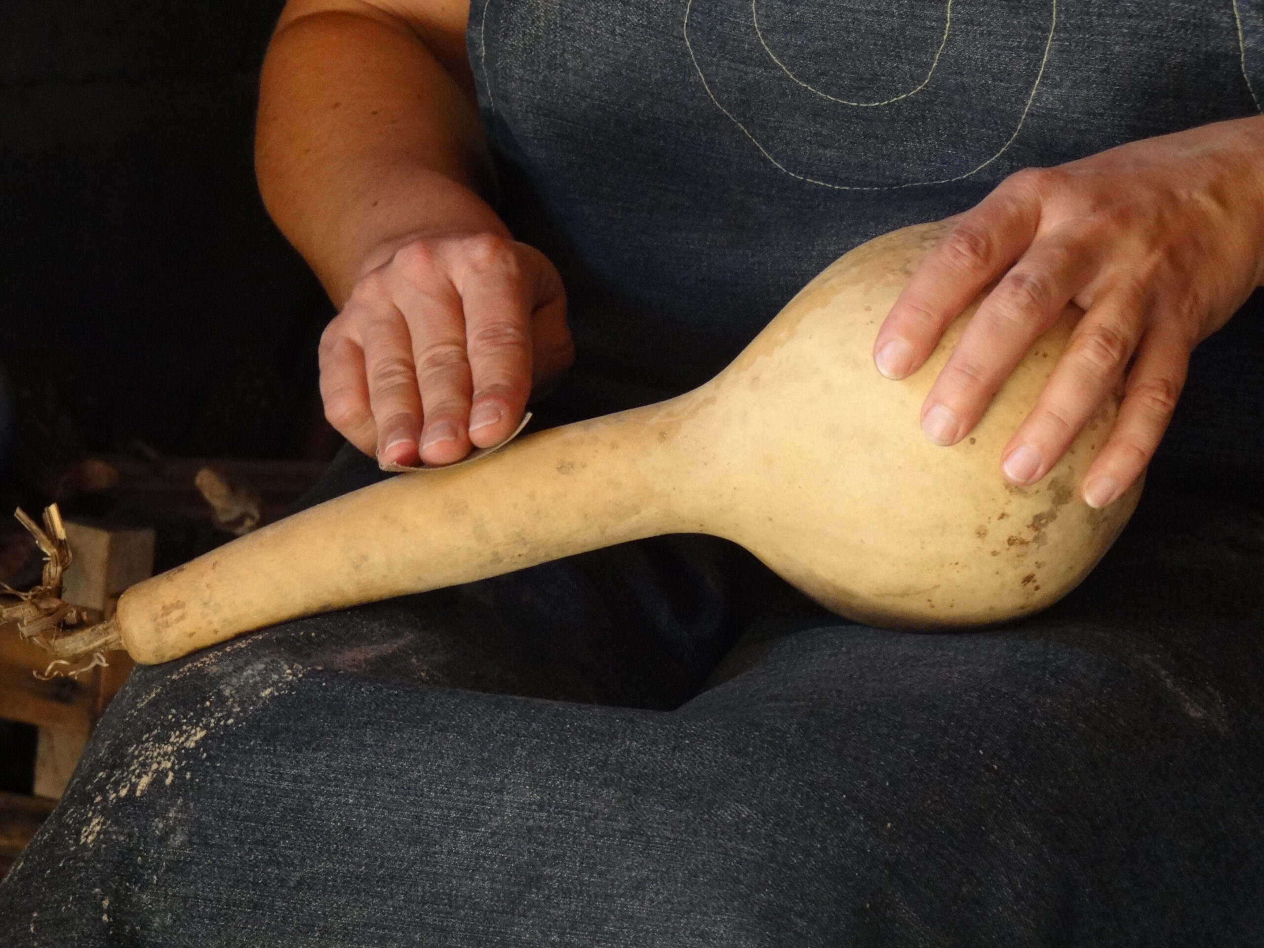 ponçage des courges gourdes